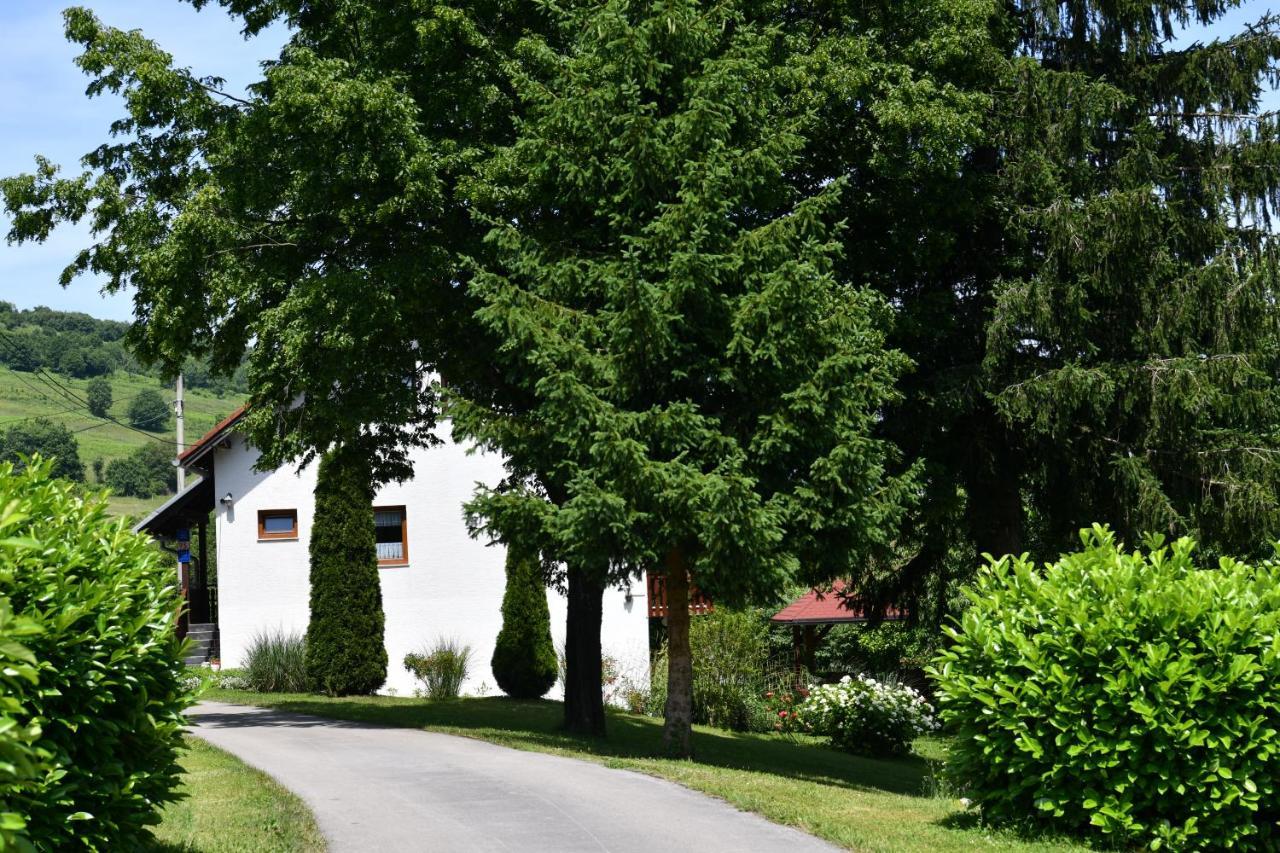 Apartment And Rooms Ivancica Selište Drežničko Kültér fotó