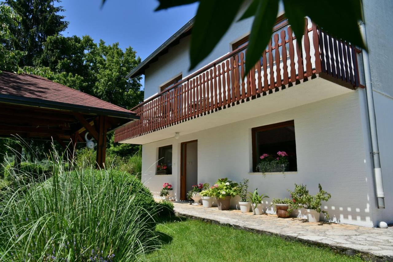 Apartment And Rooms Ivancica Selište Drežničko Kültér fotó